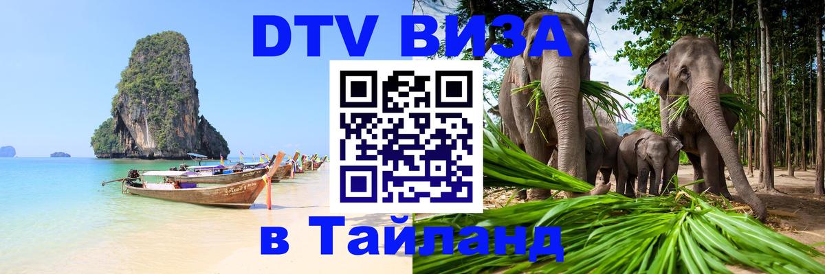 Оформление DTV визы под ключ: стоимость и тарифы, только загранпаспорт - 19.11.2025 